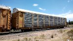 TTGX 981476 Rack CSX